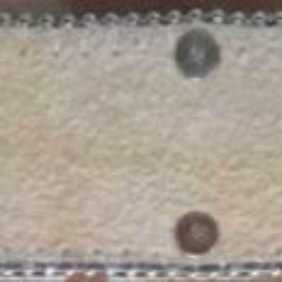 Concho Western Dark Brindle Brown Belt main image 5